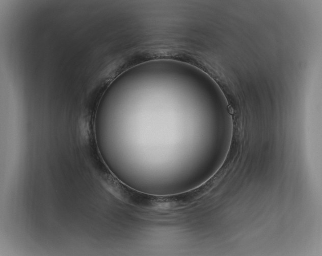 X0000111120746200906301310