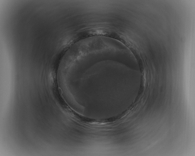 X0000111120747200906301310