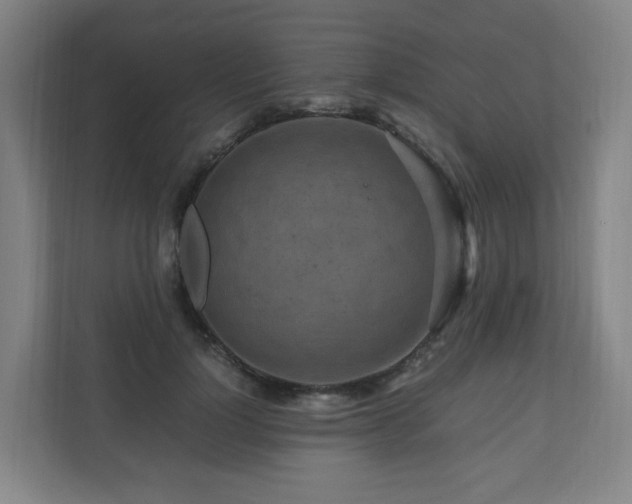 X0000111120748200906301310
