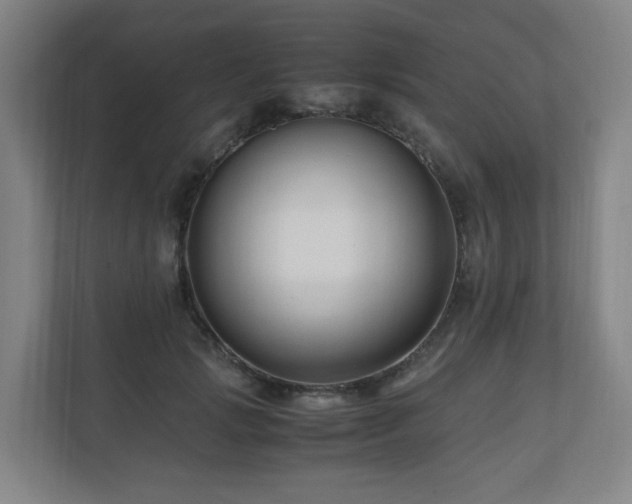 X0000111120749200906301310