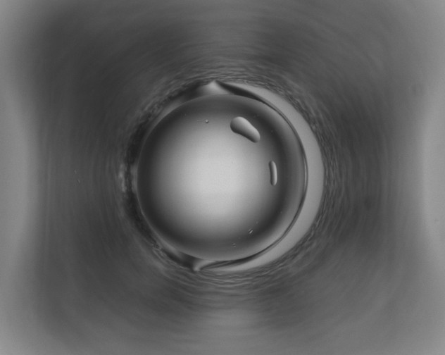 X0000111120750200906301310
