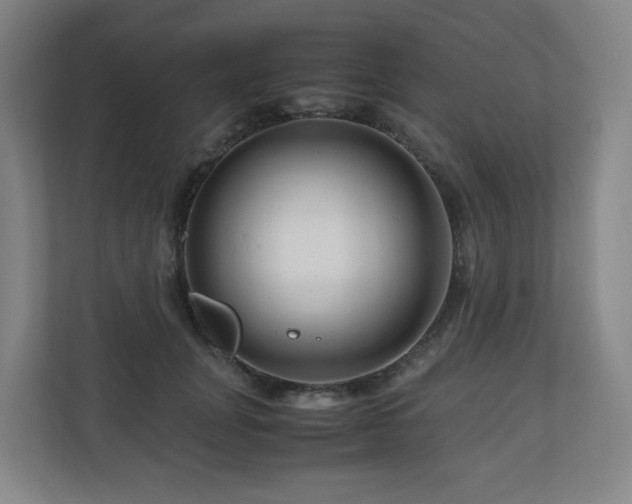 X0000111120751200906301310