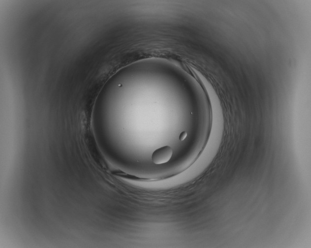 X0000111120752200906301310