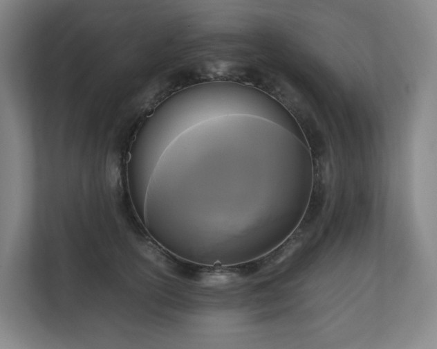 X0000111120754200906301310