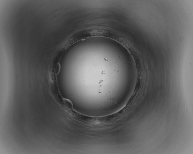 X0000111120755200906301310
