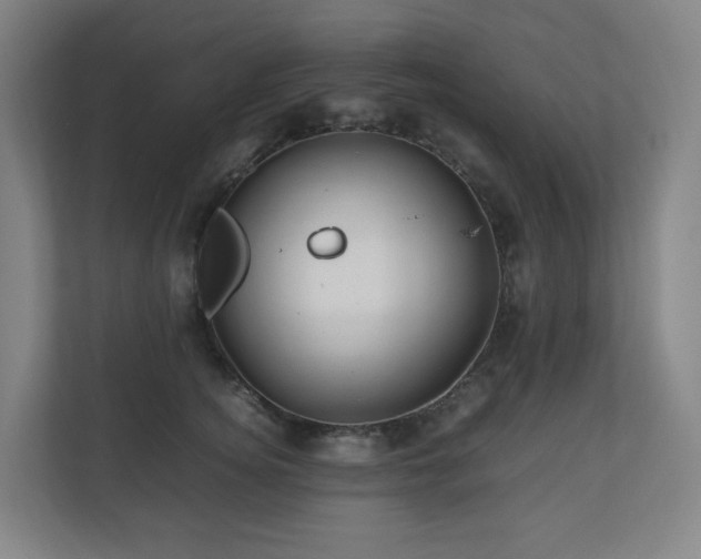 X0000111120756200906301310