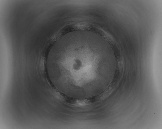 X0000111120757200906301310
