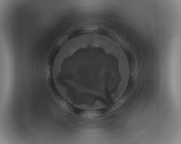 X0000111120758200906301310