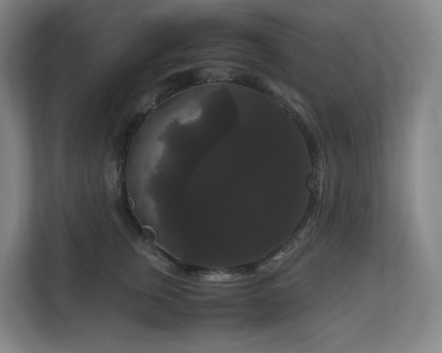 X0000111120759200906301310