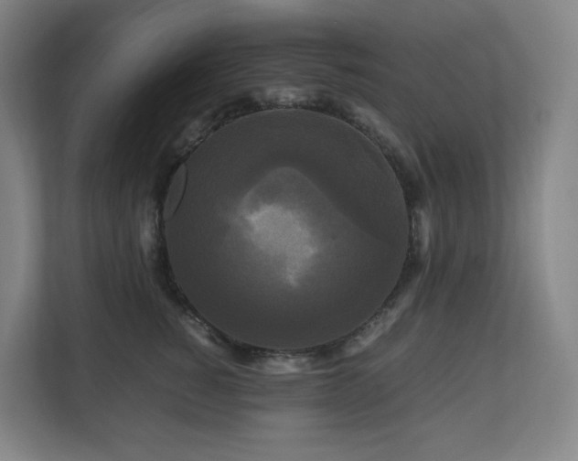 X0000111120760200906301310