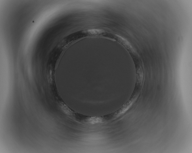 X0000111120762200906301310