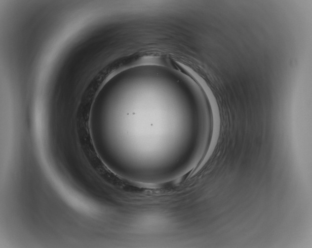 X0000111120764200906301310