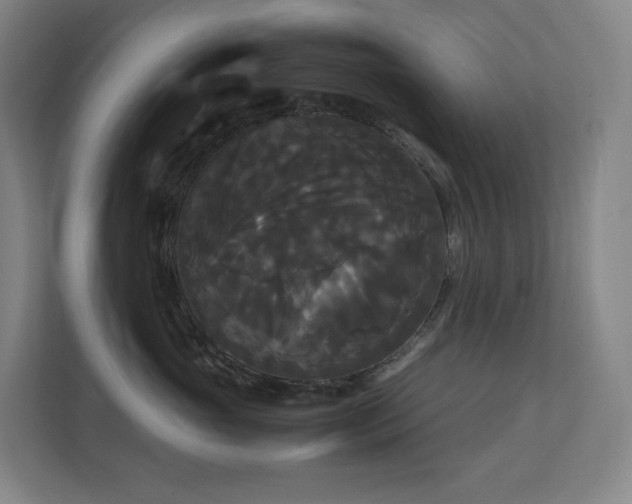 X0000111120765200906301310