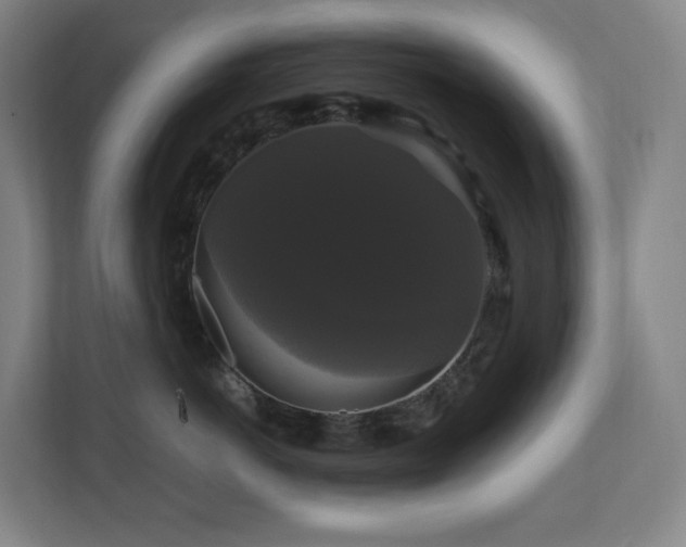 X0000111120766200906301310