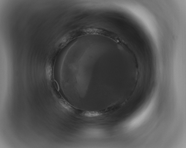 X0000111120767200906301310
