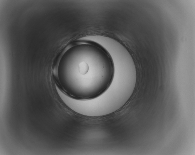 X0000111120768200906301310