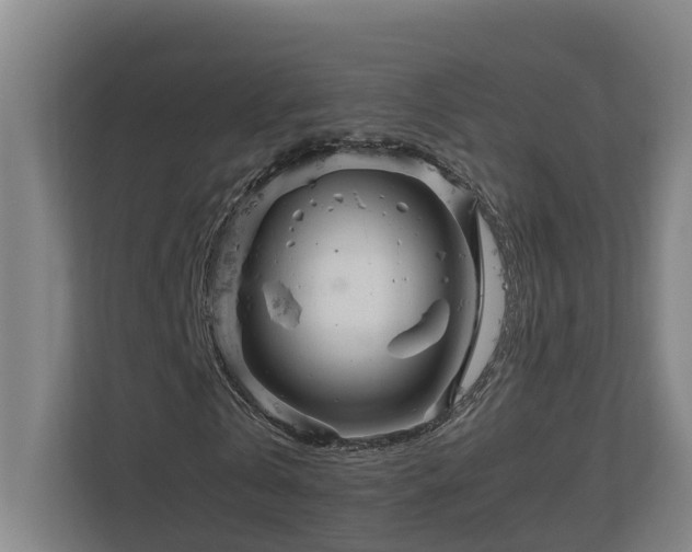 X0000111120769200906301310