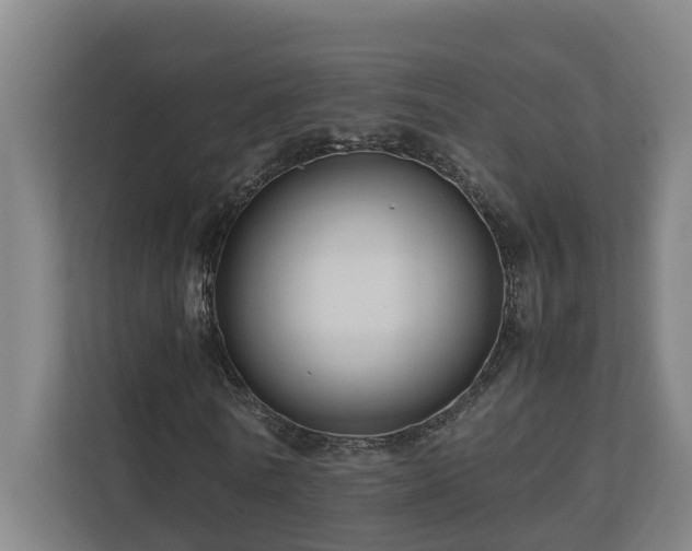X0000111120770200906301310