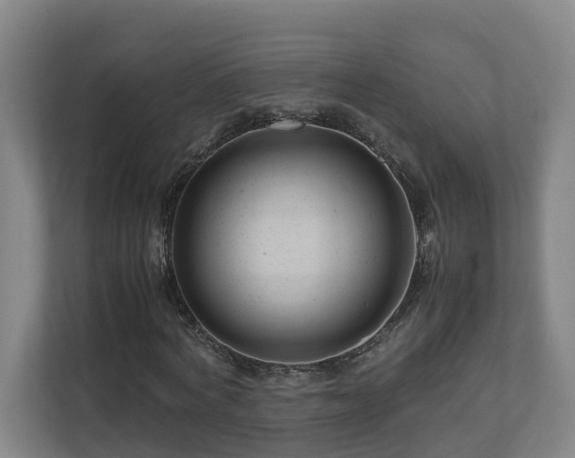 X0000111120772200906301310