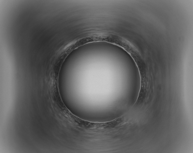 X0000111120773200906301310