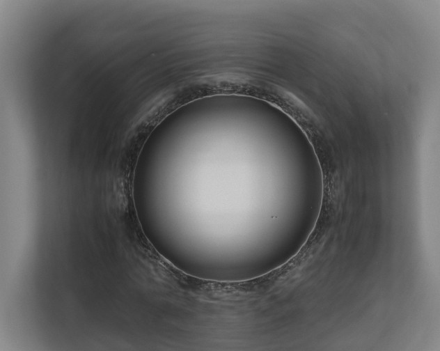 X0000111120774200906301310