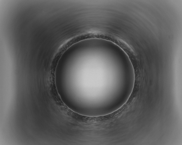 X0000111120776200906301310