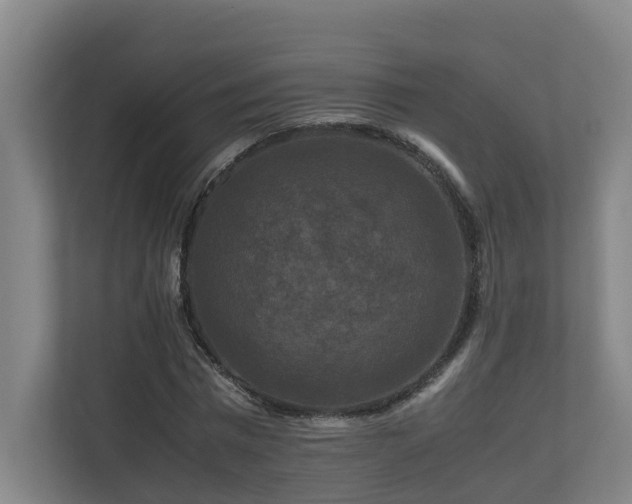 X0000111120777200906301310