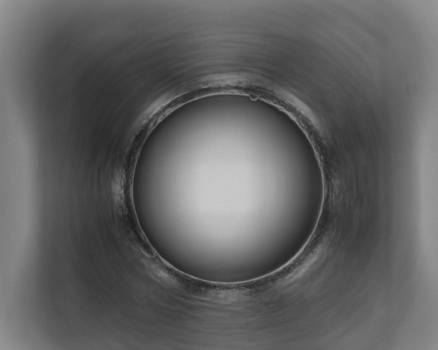 X0000111120778200906301310