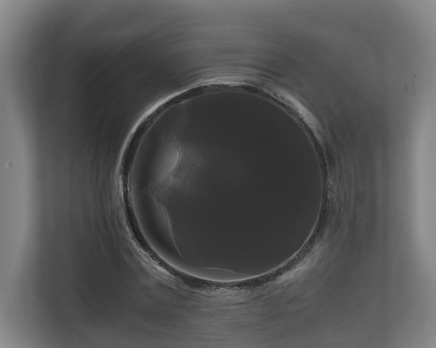 X0000111120779200906301310