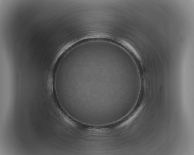 X0000111120781200906301310