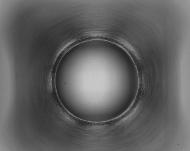 X0000111120782200906301310
