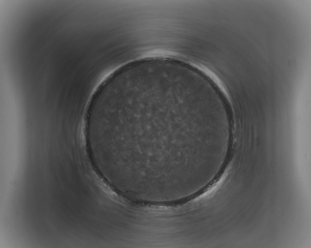 X0000111120783200906301310