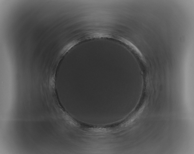 X0000111120785200906301310