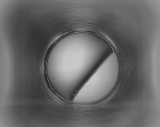 X0000111120787200906301310