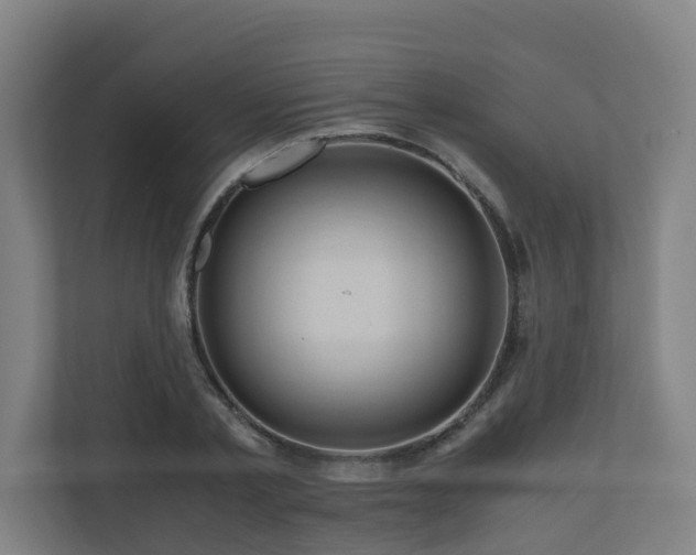 X0000111120789200906301310