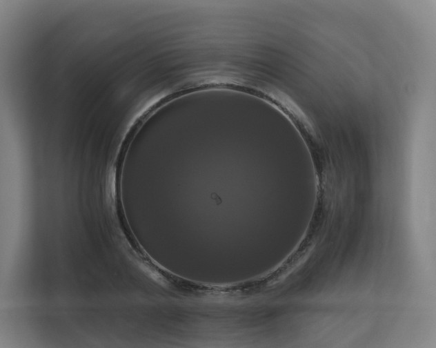 X0000111120790200906301310