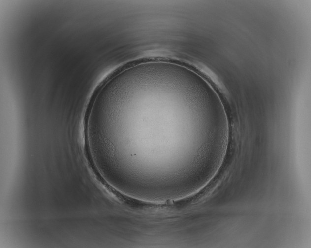 X0000111120791200906301310
