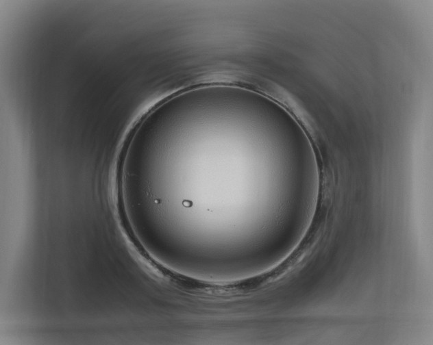 X0000111120795200906301309