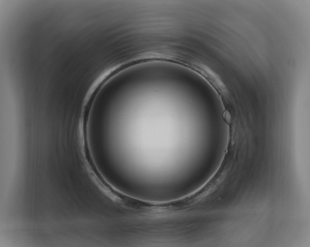 X0000111120796200906301309