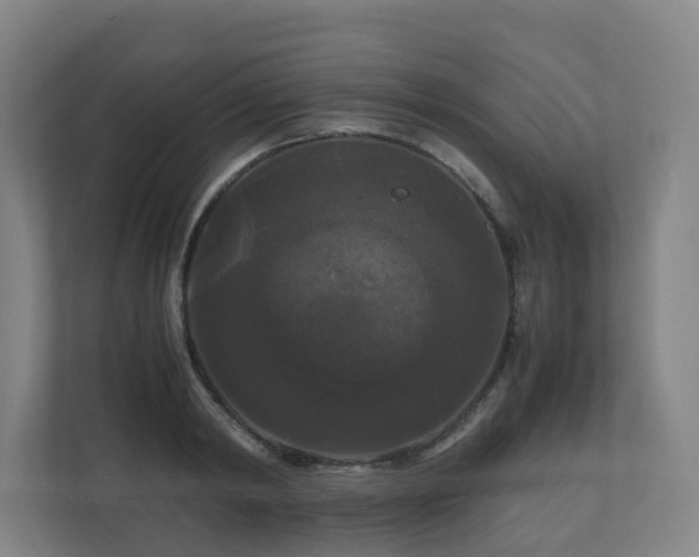 X0000111120798200906301309