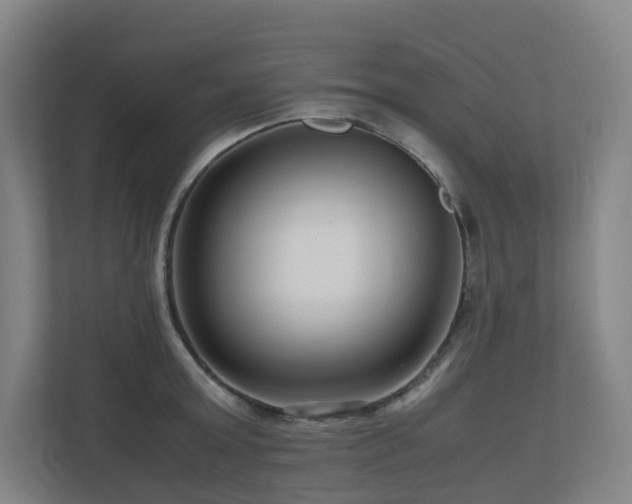 X0000111120803200906301309