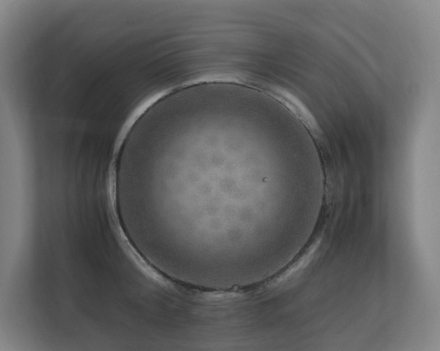 X0000111120804200906301309