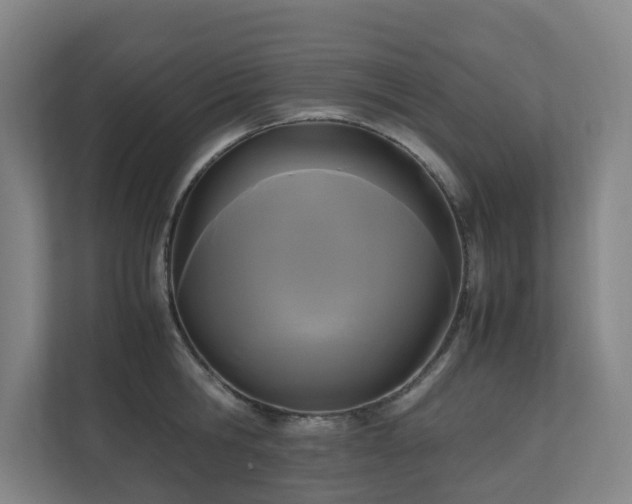 X0000111120806200906301309