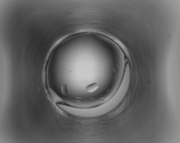 X0000111120807200906301309