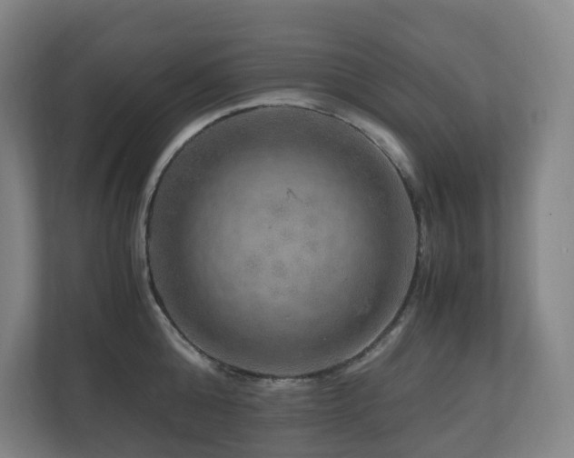 X0000111120808200906301309