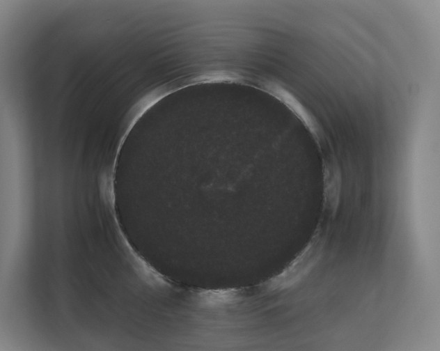 X0000111120810200906301309