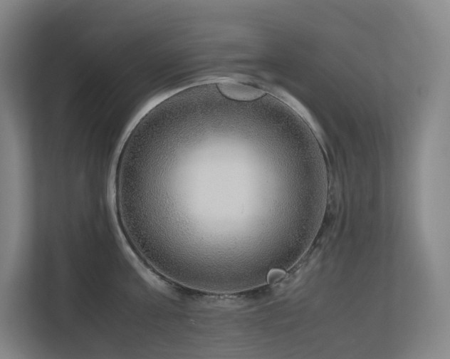 X0000111120811200906301309