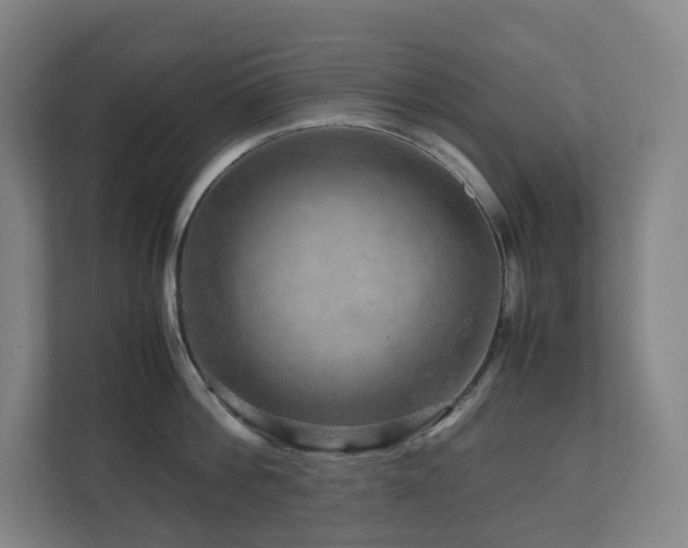 X0000111120812200906301309