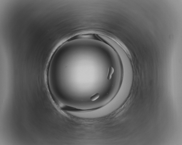 X0000111120813200906301309