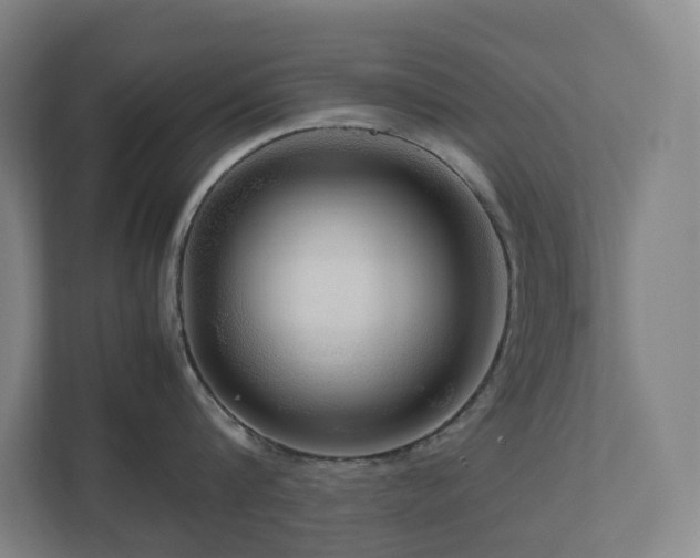 X0000111120816200906301309